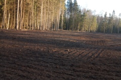 IMG_20201201_123927_1