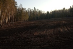 IMG_20201201_123939_4